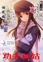 功夫村姑：调教城里小坏蛋功夫村姑：调教城里小坏蛋